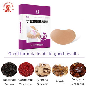 Ding教授プライベートラベルハーブ乳房ヘルスケア乳房パッチ胸の痛みのための胸パッチ - Product Image 4