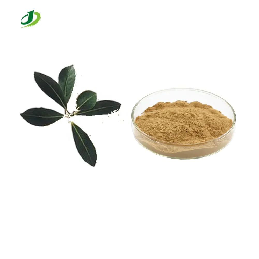 Poudre d'extrait de Yerba Mate TLC 10:1 extrait d'Ilex paraguariensis