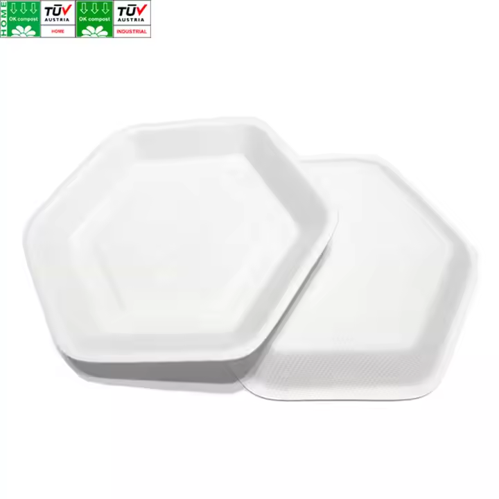 SKU-08Assiette en bagasse hexagonale