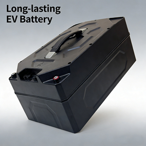<b>48V</b> 30Ah <b>Battery</b> Pack for Scooters & Tricycles - Product Image 1