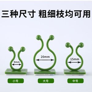 Clip de sujeción para plantas verdes, gancho de pared ajustable para jardinería doméstica, 100 unidades - Product Image 4