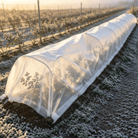 Couverture givrante non tissée blanche pour légumes d'hiver, semis de pépinière et protection des plantes en serre