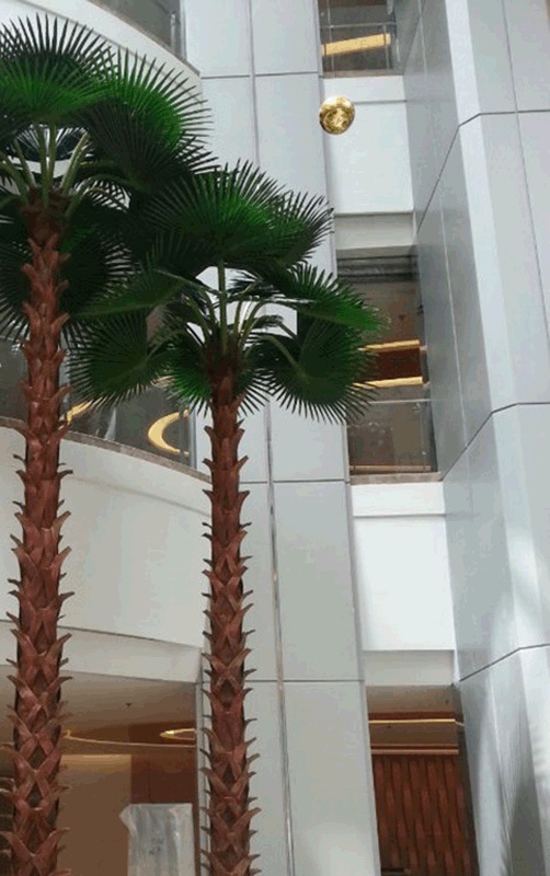 Palmera redonda de interior/m