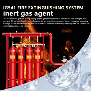 Sistema antincendio a flusso di pistone 2023, dispositivo estintore a gas pulito IG541 in acciaio inossidabile 70L-90L Classe A - Product Image 3