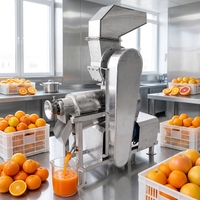 Industriële citruspers voor zwaar gebruik, commerciële fruitpers, sapcentrifuge, gemberpers