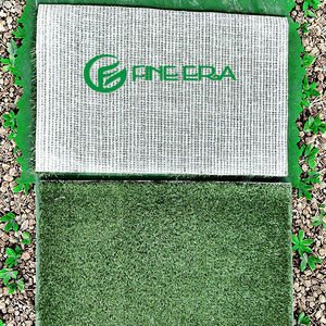 2026 पर्यावरण के अनुकूल आउटडोर कुत्ते इनडोर पोर्टेबल पोटी प्रशिक्षण शौचालय दीवार सफाई सुविधा पालतू अपशिष्ट निपटान पोर्टल पोटी - Product Image 2