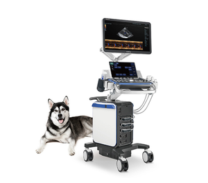Sistema de Ultrasonido Veterinario Mindray Vetus 8 con Carro, Doppler Color, Pantalla de 23.8'', Certificado CE, Dispositivo Médico Clase II, 1 Año de Garantía - Product Image 1