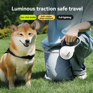 Correa retráctil automática ajustable con logotipo personalizado para perro, luz LED brillante con Flash, dispensador de soporte para bolsa de caca, correa para mascotas de plomo - Product Image 2