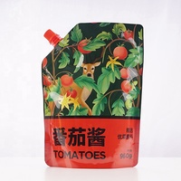 Sac d'emballage de qualité alimentaire Pochette sur pied personnalisée avec bec de buse pour sauce tomate ketchup chili