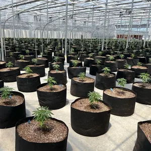 不織布植物成長ガーデン野菜バッグエアレーションファブリックポットフェルトプランターグロー2ガロンファブリックポット