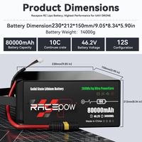Твердотельный Li-po аккумулятор Racepow 46,2 В 53,9 В 80000 мАч 80Ah 12S 14S для грузовых/неподвижных/E-Vtol/гибридных/многороторных дронов