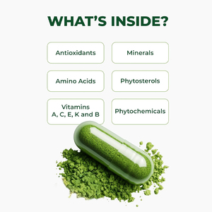 Capsules de Moringa végétaliennes énergisantes pour la digestion et l'immunité, vente directe d'usine chinoise - Product Image 1