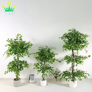 Ficus artificiel <span class=keywords><strong>japonais</strong></span> Fruticosa arbre torsadé avec <span class=keywords><strong>pot</strong></span> noir fausse <span class=keywords><strong>plante</strong></span> <span class=keywords><strong>pour</strong></span> la maison salon bureau <span class=keywords><strong>jardin</strong></span> porche décoration - Product Image 6