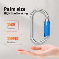 Mosquetons en aluminium de haute qualité 25 kN en forme de D pour le camping professionnel et l'équipement de sécurité d'escalade en plein air