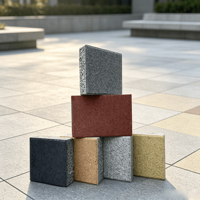 Mortier auto-nivelant compatible avec des briques de béton poreuses de 600*300*50 mm d'épaisseur, briques de pavage paysager