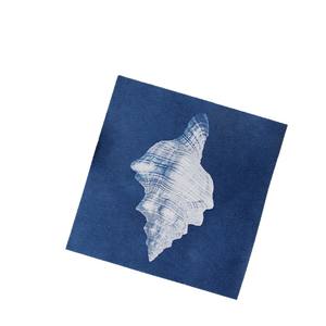 Kit de papier photo cyanotype carré transfrontalier DIY fait main 24 pièces pour impression solaire, cadeau, vente en gros usine - Product Image 6