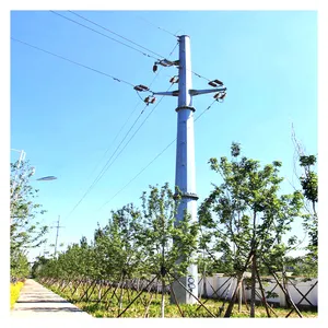 Meistverkaufter heißverzinkter Elektrizturm-Säulen Elektrostuhl Stahl-Elektriszturm-Säulen