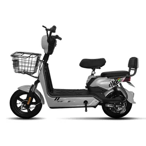 2023 Neuer Mini-Elektro roller 400W 500W Tragbares Elektro fahrrad mit 48V Blei-Säure-Batterie
