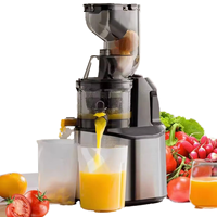 Grote diameter sapcentrifuge voor het scheiden van sap van pulp, slowjuicer voor thuisgebruik, geen snijfilter nodig.