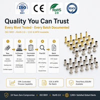 Rebite Oco Recartilhado Personalizado para Montagem de Baterias de Veículos Elétricos - Alumínio/Latão/Aço Inoxidável/Ferro com Tolerância de 0,02-0,1mm