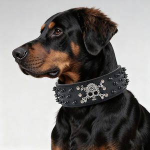 मध्यम बड़े कुत्तों के लिए पंक खोपड़ी डिजाइन के साथ स्क्ड एडजस्टेबल चमड़े का कुत्ता कॉलर - Product Image 2