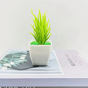 Plantes succulentes artificielles Qi Xing en pot carré de 10 cm, décoration intérieure en plastique, verdure - Product Image 4