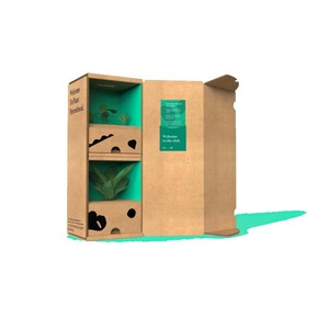 Boîte-cadeau de plante écologique Versandverpackung <span class=keywords><strong>Fr</strong></span> Pflanzen emballage de boîte de plante - Product Image 2