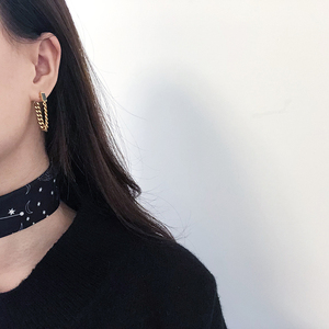 2024 New Design Anti-Allergy Titanium Stainless Steel Chain Punk Style Tassel Hoop Earrings with <b>Studs</b> - Product Image 4