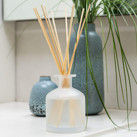 Meilleure vente bouteille en verre dépoli de luxe de 120ml diffuseur de roseau d'aromathérapie personnalisé conception OEM diffuseur de roseau de parfum de maison
