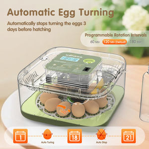 WONEGG FY12H Smart <strong>Mini</strong> <strong>Eggs</strong> Incubator Fully Automatic Equipped <strong>Candle</strong> Water Adding Device - Product Image 2