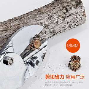 กรรไกรตัดแต่งกิ่ง Laoxijie Anvil ขนาด 20-30 มม. สแตนเลสสตีล สีส้ม เครื่องมือตัดแต่งสวน สำหรับตัดกิ่งไม้ผลไม้ - Product Image 4