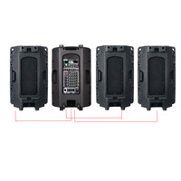 Enceinte portable en plastique BS515DSP 15 pouces 400W 16 DSP avec lecteur MP3 et microphone pour fêtes en extérieur et mariages