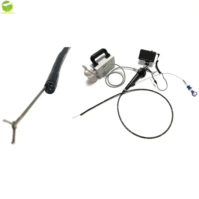 High Resolution Veterinary Video Endoscope for Sale / Flexible Portable Endoscope Price