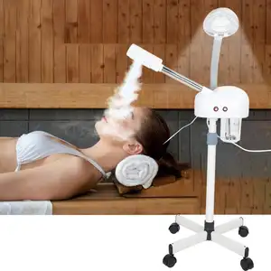 Professionale salone Spa nanosteamer 2-in-1 faccia ionico elettrico ozonevaporatore facciale a vapore con luce di ingrandimento ad alta frequenza