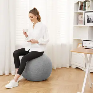 Leinen-Haushaltsoffice-Übungsball Anti-Kratz-Schutzbezug 65 cm bequemer Griff und Aufblaser Yoga-Ballstuhl