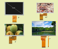 Wettbewerbsfähiger Preis TFT IPS LCD Touchscreen-Panel 4,3-15,6 Zoll Resistives Touch-Display-Modul mit 1 Jahr Garantie