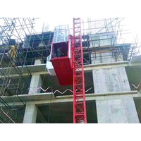 Moteur de monte-charge de chantier robuste 2T avec boîte de vitesses - Hauteur de levage 150m Haute efficacité - TAVOL OEM |   Australie Inde Arabie Saoudite