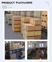 Machine de codage haute vitesse N/NF/NU/NJ/NUP205E avec roulement à rouleaux cylindriques