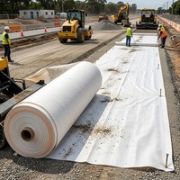 Rouleau de tissu tissé en PP agricole traité anti-UV, toile de paillage en polypropylène pour le contrôle des adventices, barrière pour ferme, jardin et pépinière