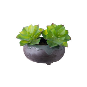 Plante succulente artificielle CallaFloral rouge et verte en PVC souple, branche unique, décoration pour la maison et les mariages - Product Image 5