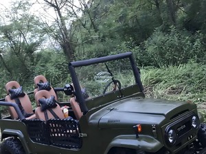 <span class=keywords><strong>Quad</strong></span> utilitaire électrique tout-terrain étanche, véhicule tout-terrain pour adultes à couple élevé et faible vitesse - Product Image 2