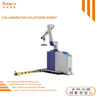 Robot Collaboratif Entièrement Automatique pour la Palettisation, à Haute Vitesse et Fonctionnement Stable, pour l'Automatisation des Usines Agroalimentaires