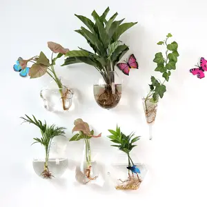 Vele Vormen Creatieve Transparante Muur Opknoping Water Planten Glazen Kleine Vaas Kleine Aquarium Bloempot Groene Potten