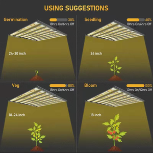Nouvelle plante d'origine <span class=keywords><strong>Ing</strong></span> 2.8 Umol Lm301b Led élèvent la lumière rapidement délai de livraison - Product Image 6