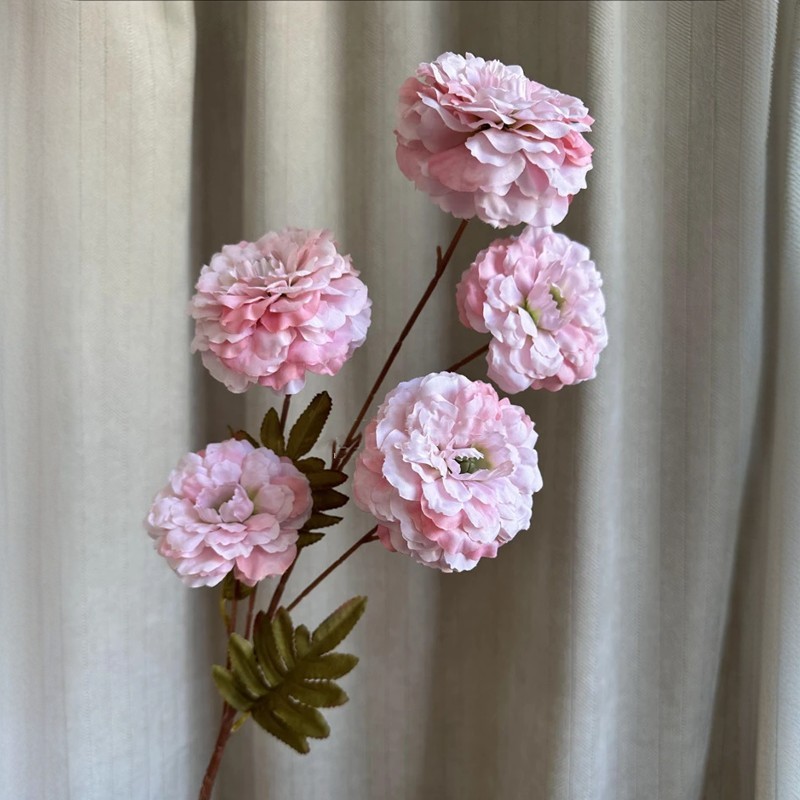 #3 Rosa