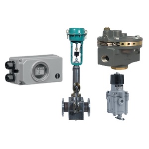 Posicionador de Válvula Samson 3730-31, Amplificador de Volumen Fisher 2625, Regulador de Filtro Masoneilan 78-40 para Válvula de Control de Flujo - Product Image 6