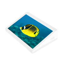 Moniteur de bureau, tablette Android 8 pouces, Wifi, port LAN, affichage numérique, lecteur publicitaire LCD