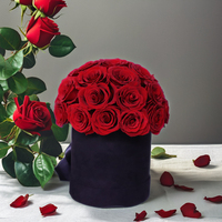 Offre Spéciale : Boîte Dôme Champignon de Luxe avec Roses Éternelles Roses et Rouges Faites à la Main pour Noël, la Fête des Mères, la Saint-Valentin et les Remises de Diplômes