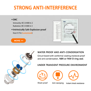 WTsensor圧力センサー250bar 4-20ma油圧液体圧力トランスデューサPCM320油圧圧力トランスミッタ250bar - Product Image 3