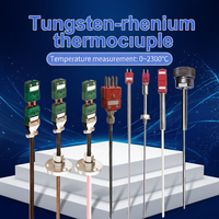 0~2300 ℃   Termopar de tungsteno-renio WRW-2300 WRe3/25 WRe5/26, sensor de alta temperatura para metalurgia al vacío y aeroespacial, longitud personalizada